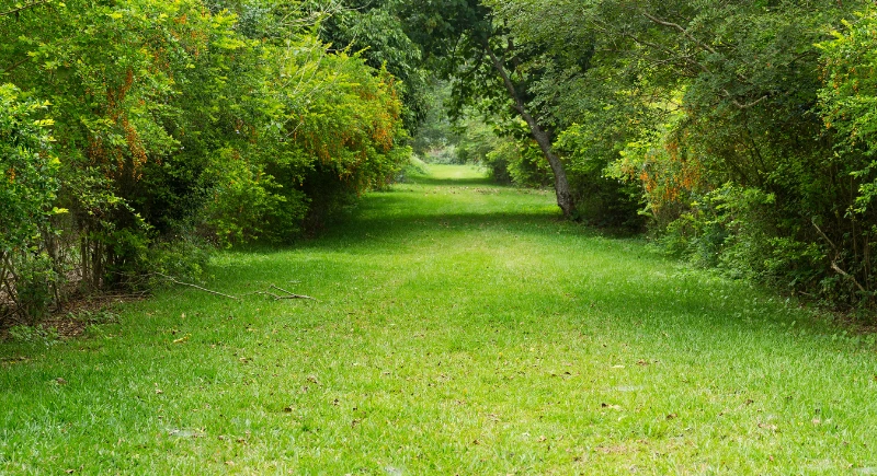 M3M Forestia West Garden