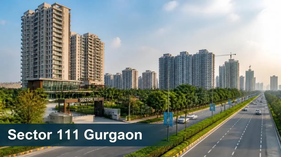 Properties in Sector 111